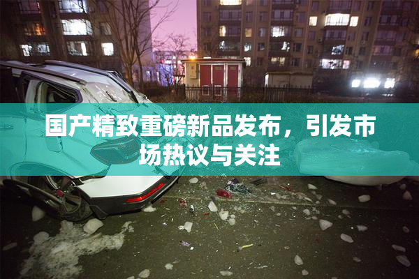 国产精致重磅新品发布，引发市场热议与关注