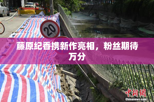 藤原纪香携新作亮相，粉丝期待万分