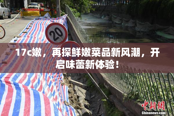 17c嫩，再探鲜嫩菜品新风潮，开启味蕾新体验！