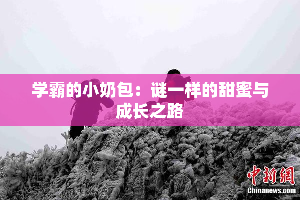 学霸的小奶包：谜一样的甜蜜与成长之路
