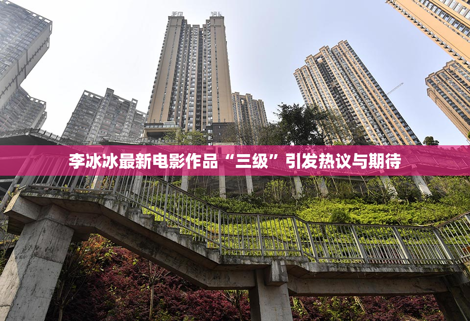 李冰冰最新电影作品“三级”引发热议与期待