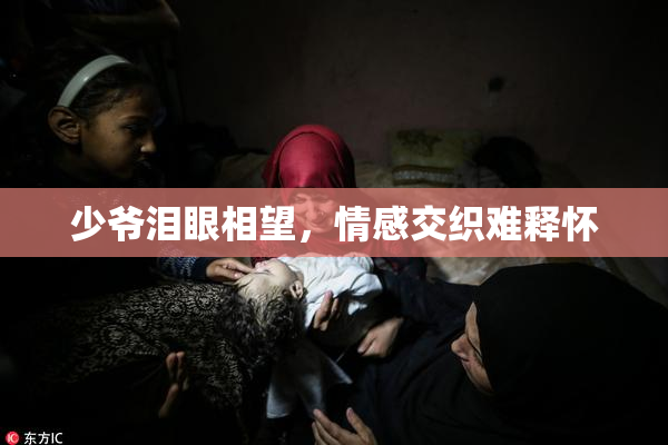 少爷泪眼相望，情感交织难释怀