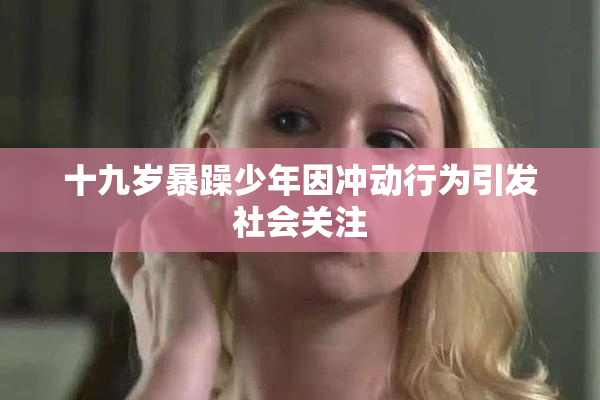 十九岁暴躁少年因冲动行为引发社会关注