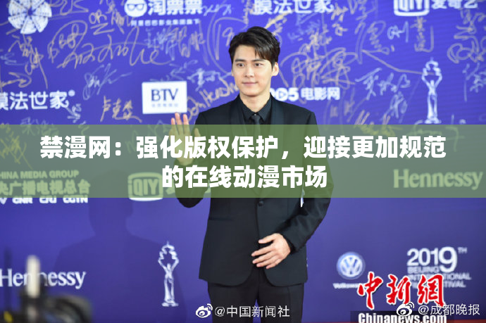 禁漫网：强化版权保护，迎接更加规范的在线动漫市场
