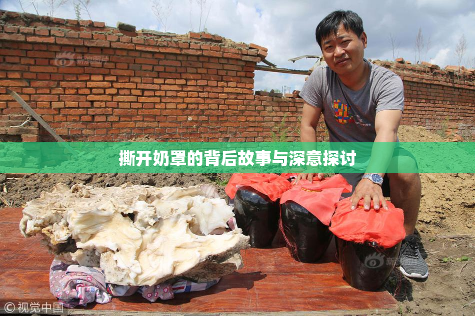 撕开奶罩的背后故事与深意探讨