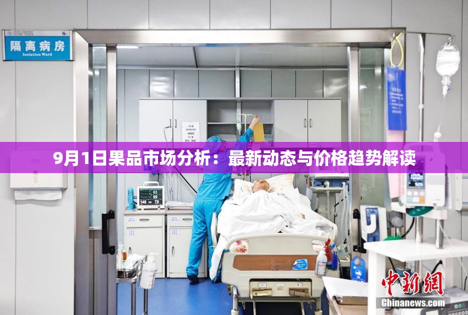 9月1日果品市场分析：最新动态与价格趋势解读