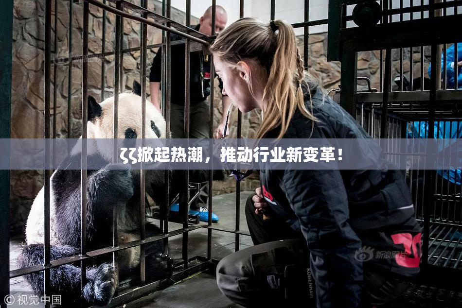 ζζ掀起热潮，推动行业新变革！