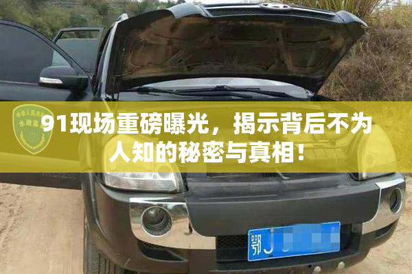 91现场重磅曝光，揭示背后不为人知的秘密与真相！