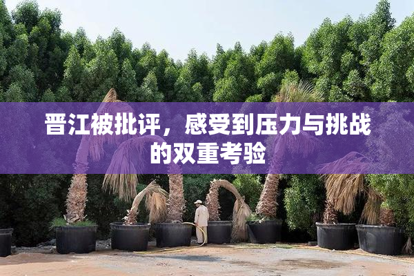 晋江被批评，感受到压力与挑战的双重考验