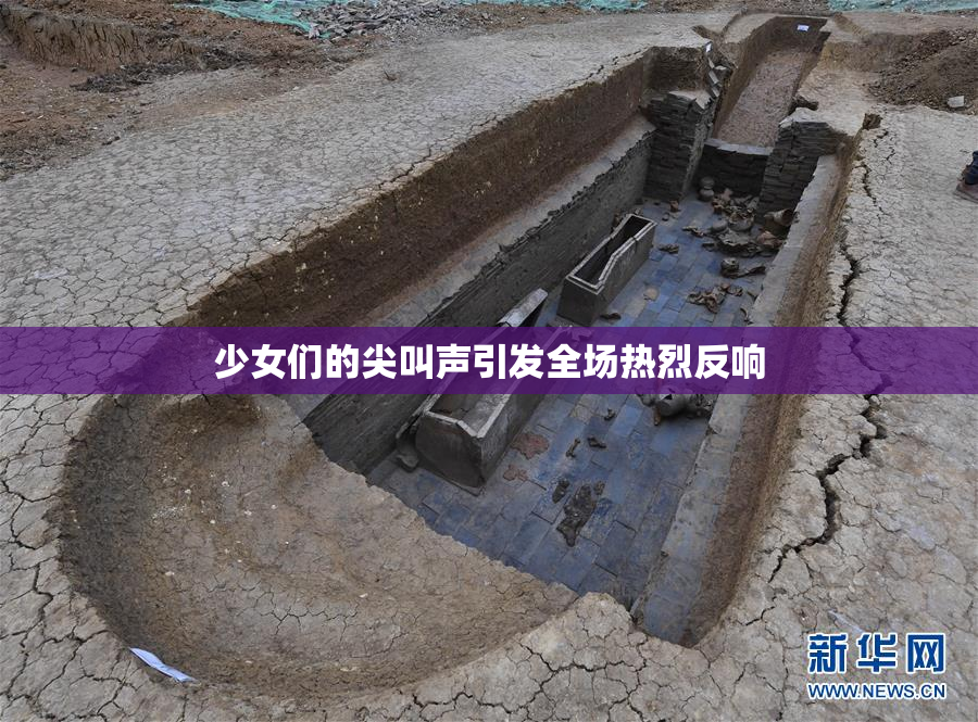 少女们的尖叫声引发全场热烈反响