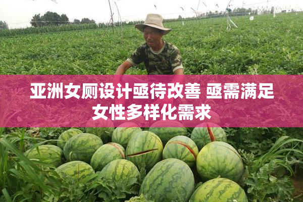 亚洲女厕设计亟待改善 亟需满足女性多样化需求