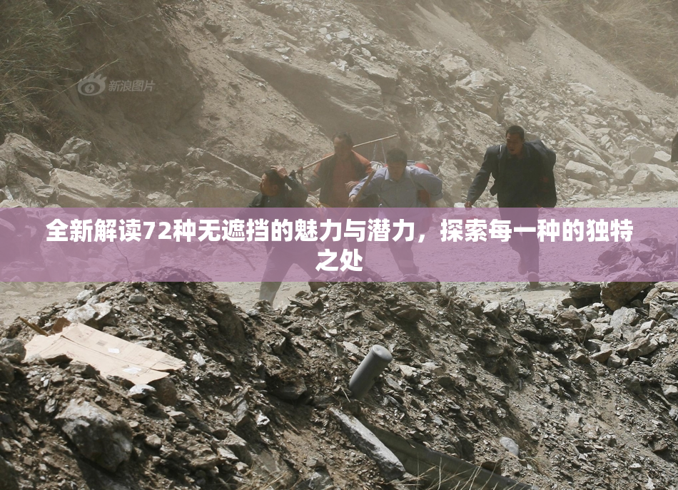 全新解读72种无遮挡的魅力与潜力，探索每一种的独特之处