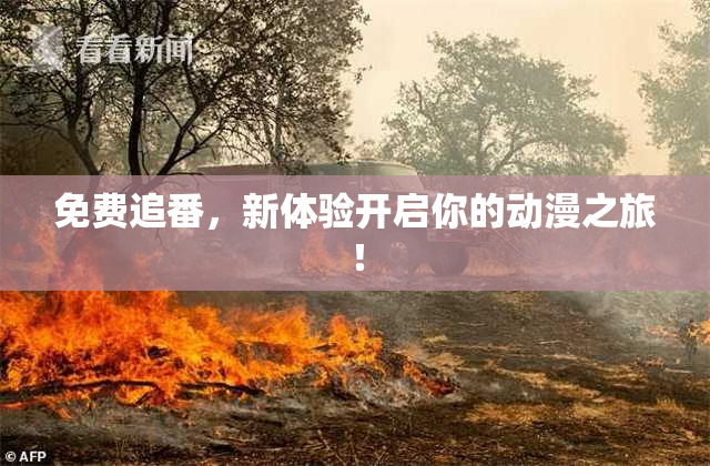 免费追番，新体验开启你的动漫之旅！