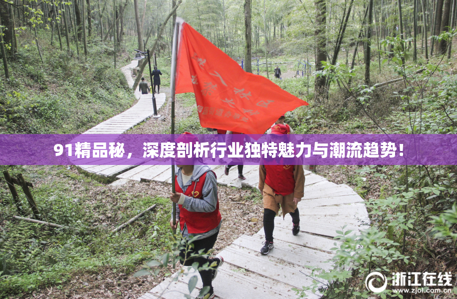 91精品秘，深度剖析行业独特魅力与潮流趋势！