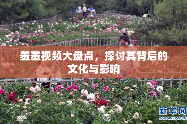 羞羞视频大盘点，探讨其背后的文化与影响