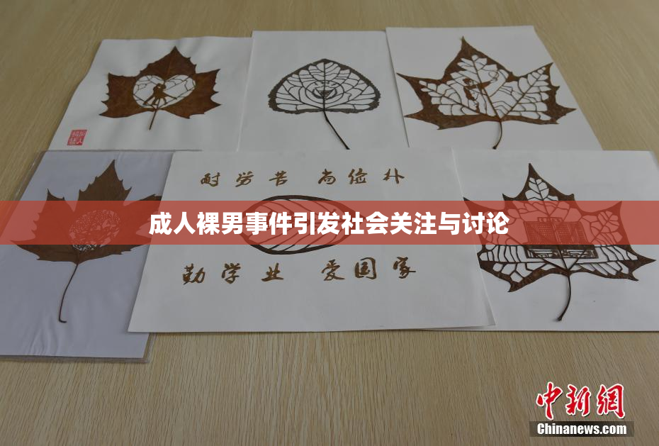 成人裸男事件引发社会关注与讨论