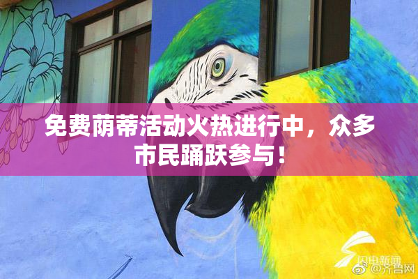 免费荫蒂活动火热进行中，众多市民踊跃参与！