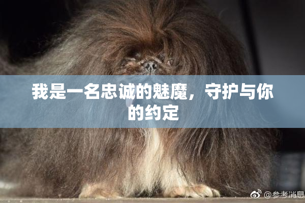 我是一名忠诚的魅魔，守护与你的约定