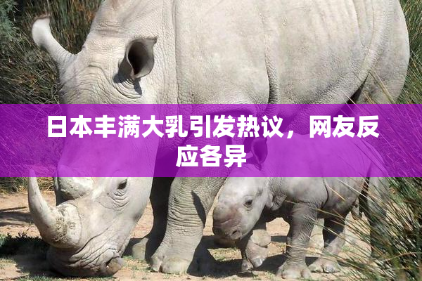 日本丰满大乳引发热议，网友反应各异