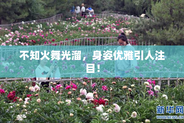 不知火舞光溜，身姿优雅引人注目！