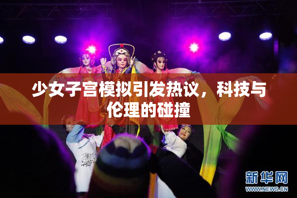 少女子宫模拟引发热议，科技与伦理的碰撞