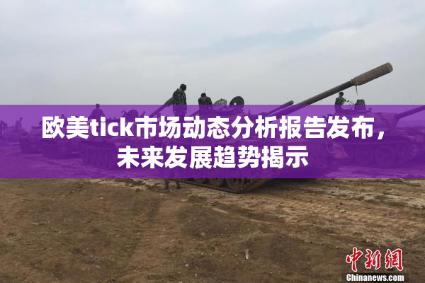 欧美tick市场动态分析报告发布，未来发展趋势揭示