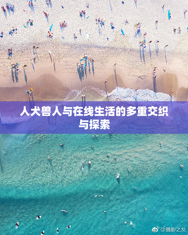 人犬兽人与在线生活的多重交织与探索