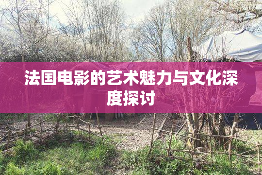 法国电影的艺术魅力与文化深度探讨