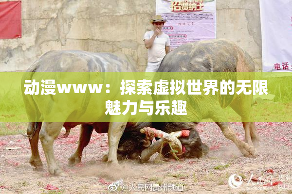 动漫www：探索虚拟世界的无限魅力与乐趣