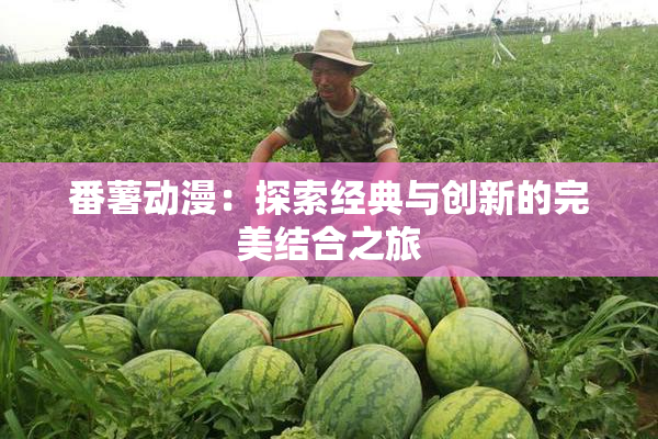 番薯动漫：探索经典与创新的完美结合之旅
