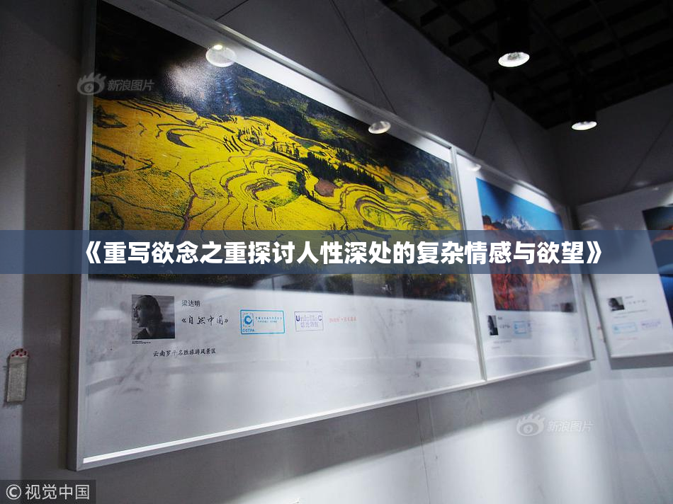 《重写欲念之重探讨人性深处的复杂情感与欲望》