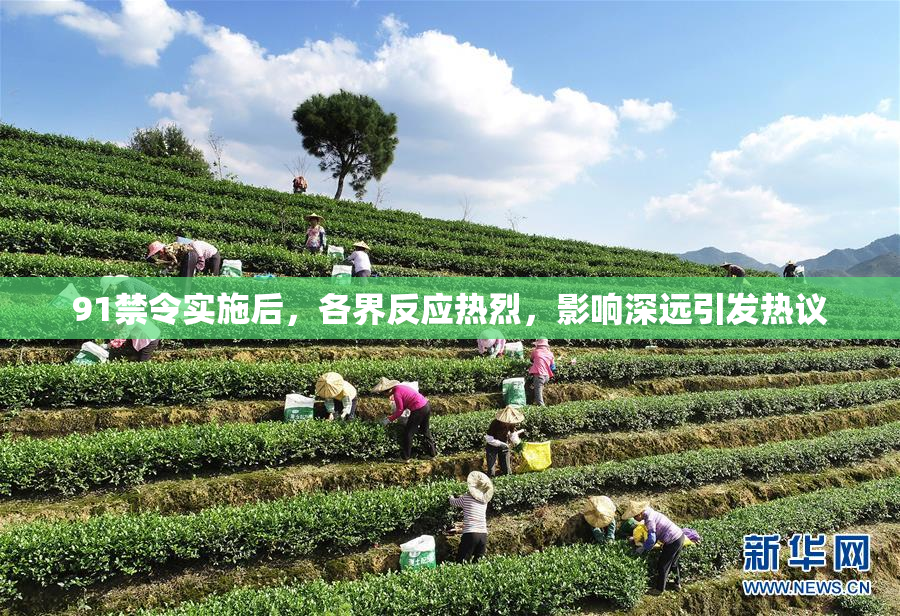 91禁令实施后，各界反应热烈，影响深远引发热议