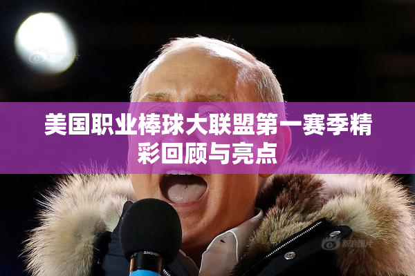 美国职业棒球大联盟第一赛季精彩回顾与亮点