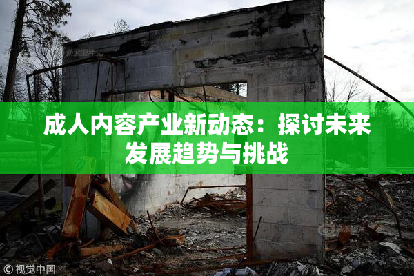 成人内容产业新动态：探讨未来发展趋势与挑战