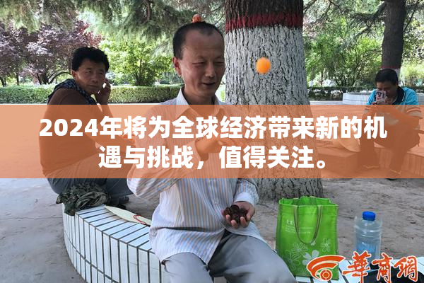 2024年将为全球经济带来新的机遇与挑战，值得关注。