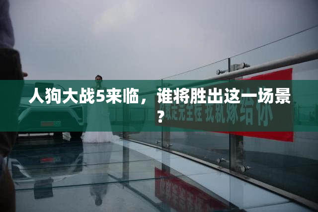 人狗大战5来临，谁将胜出这一场景？