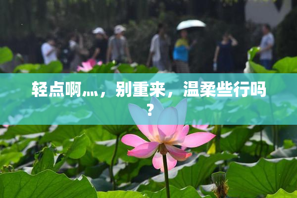 轻点啊灬，别重来，温柔些行吗？