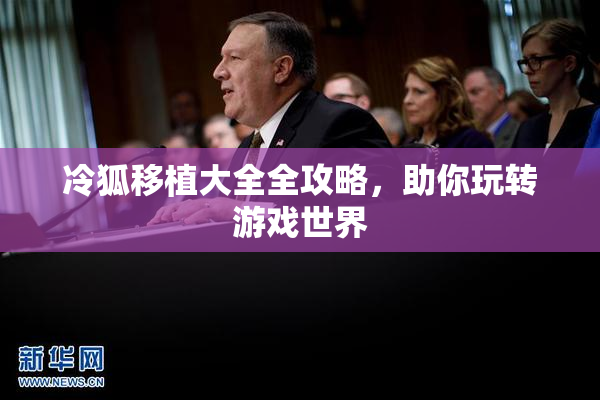 冷狐移植大全全攻略，助你玩转游戏世界