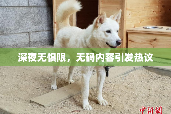 深夜无惧限，无码内容引发热议