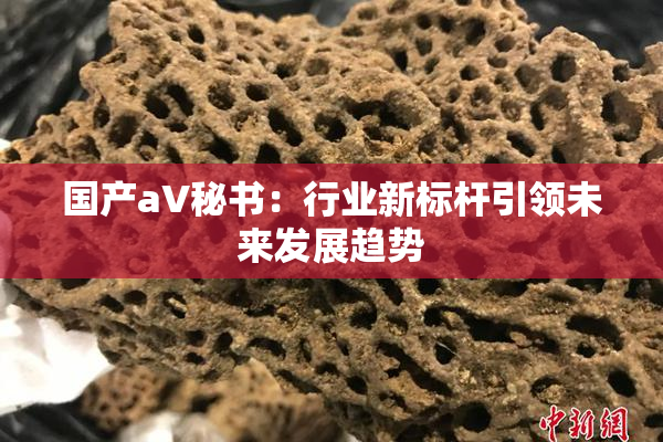 国产aV秘书：行业新标杆引领未来发展趋势