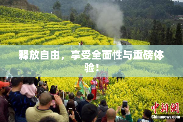 释放自由，享受全面性与重磅体验！