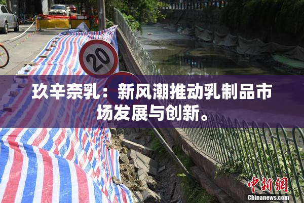 玖辛奈乳：新风潮推动乳制品市场发展与创新。