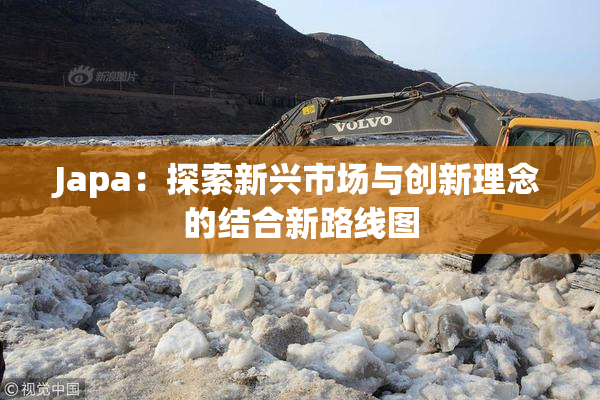 Japa：探索新兴市场与创新理念的结合新路线图