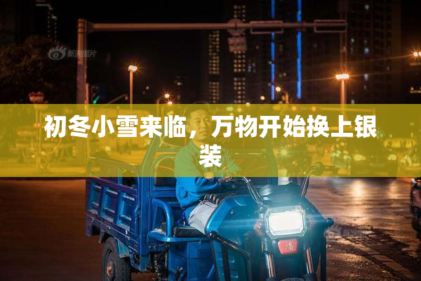 初冬小雪来临，万物开始换上银装
