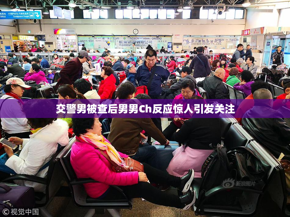 交警男被查后男男Ch反应惊人引发关注
