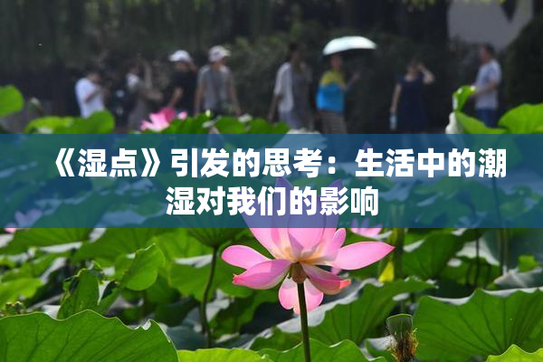 《湿点》引发的思考：生活中的潮湿对我们的影响