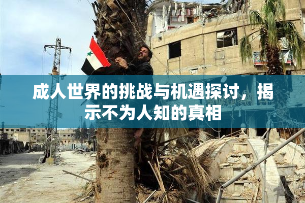 成人世界的挑战与机遇探讨，揭示不为人知的真相