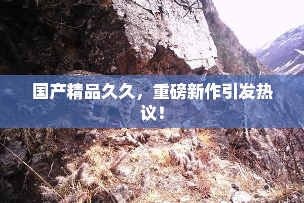 国产精品久久，重磅新作引发热议！