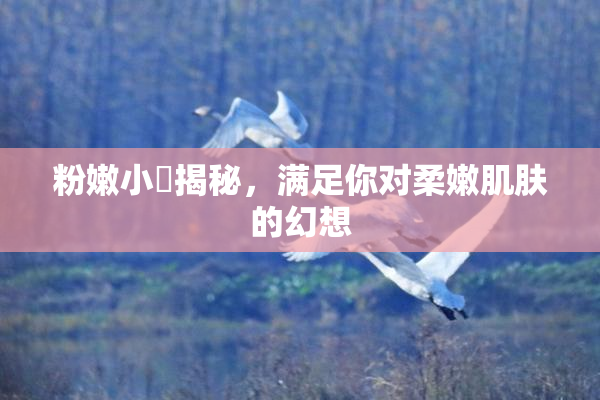 粉嫩小泬揭秘，满足你对柔嫩肌肤的幻想