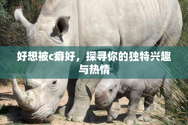 好想被c癖好，探寻你的独特兴趣与热情